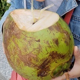 无糖可乐