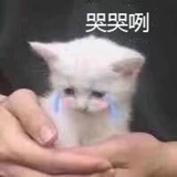 随便取个名字