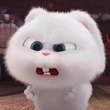 吴小乐