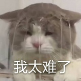 嘻嘻嘻