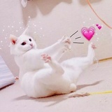 苏苏