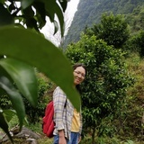 idya427