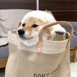 石头剪刀布