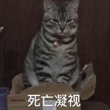 羽生迷妹🍁
