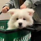 佚名🌿