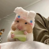 乌几木几