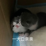 ╮(╯▽╰)╭