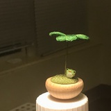 一只小柴