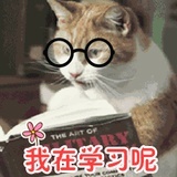 借过一下