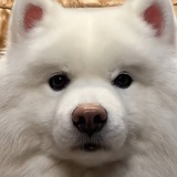 分分钟