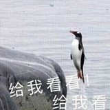 让我康康