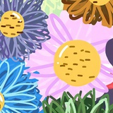 花椒鸡
