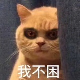 嘻嘻你个小傻瓜