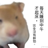 昌昌昌鼠