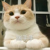 咖啡加点盐