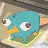泰瑞