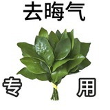 随便取个名字