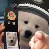 八八就是发