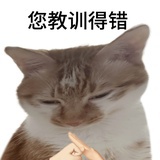 😾