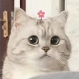 叫啥好呢