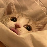 圆圆圆