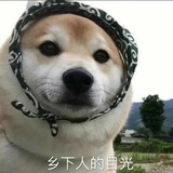 纳兹咩
