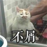 张益达