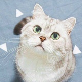 常俊