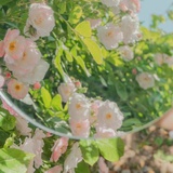 工干原理