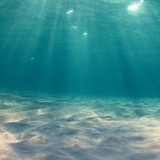 ༄࿆流࿆年࿆易࿆逝࿆࿐