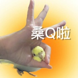 疲惫的帝王蟹