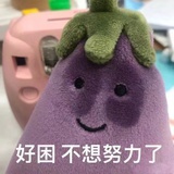 摸鱼魔芋