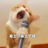 小任性一下666