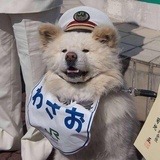 碎了帮我关灯