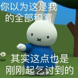 臭臭大烧饼