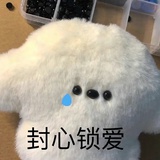 生椰柠檬撞奶🥥