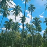 随心物语