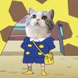 神奇宝贝