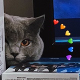 七酱