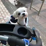 沁琳