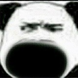 哈喽哈喽汪