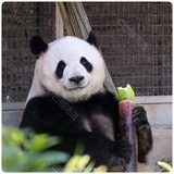 二十四小时待命