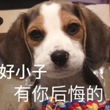 可恶又嗑到了