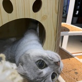 灯泡坏了