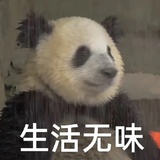 水水水水水