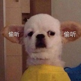 爱吃绵绵冰