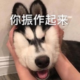 qwerasdf