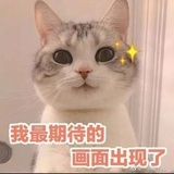鹤鸣非衣