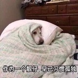 没有真心