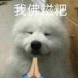 文火慢炖小龙虾